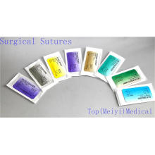 Surgical Suture with Needle (Catgut/PGA/Nylon/Silk)